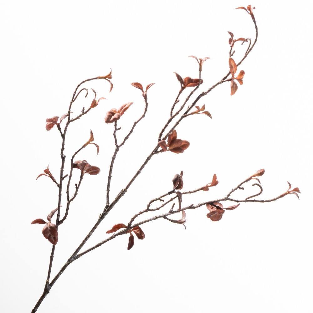 Ramas de sauce artificial de t - Branch Curly Willow reseña y precio